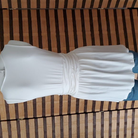 EUC! Boston Proper Rayon/Spandex stretch top - Picture 5 of 9